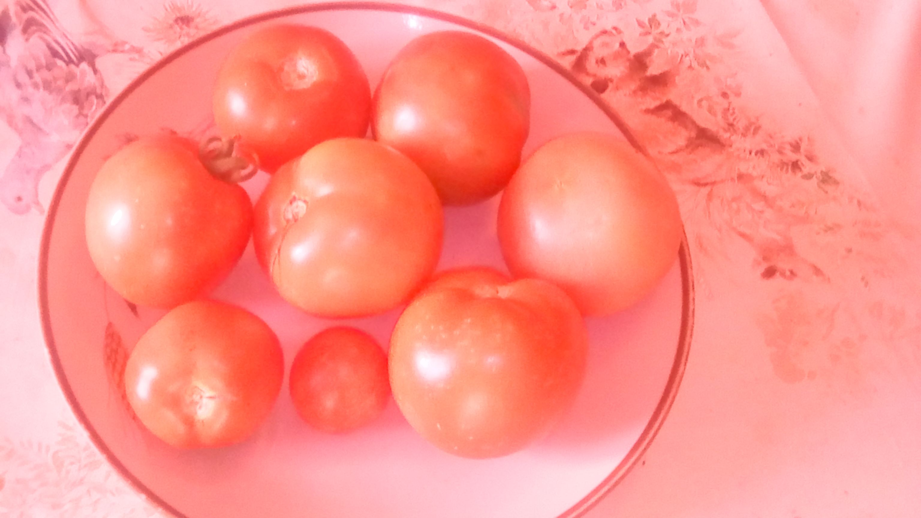 TOMATES 3.jpg