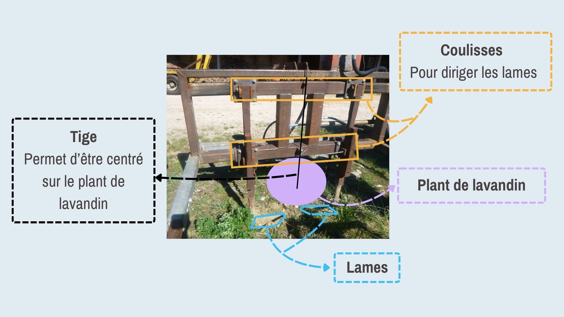 Figure 2_vue de l'intérieur.jpg