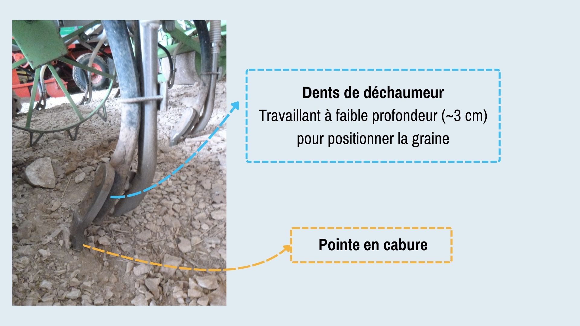 4.Zoom sur une dent.jpg