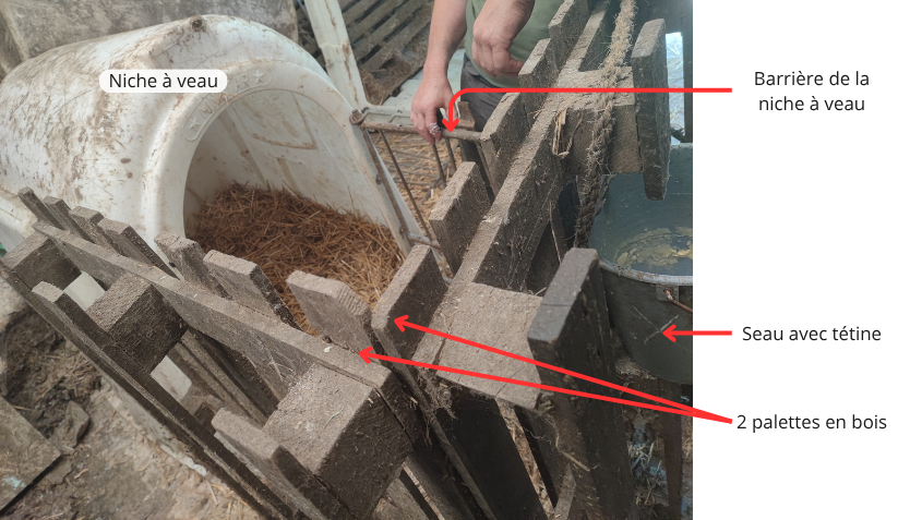 Photo annotée de la niche à veau aménagée.