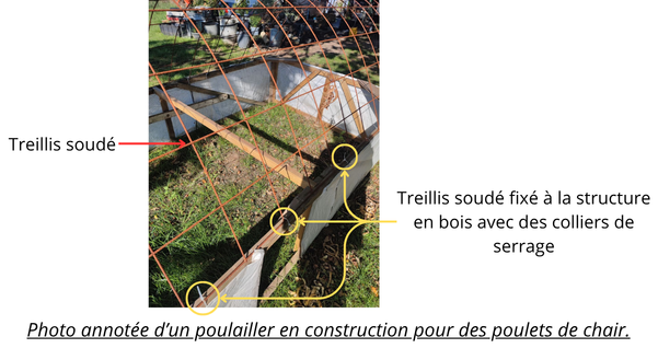 Volailles(1).png