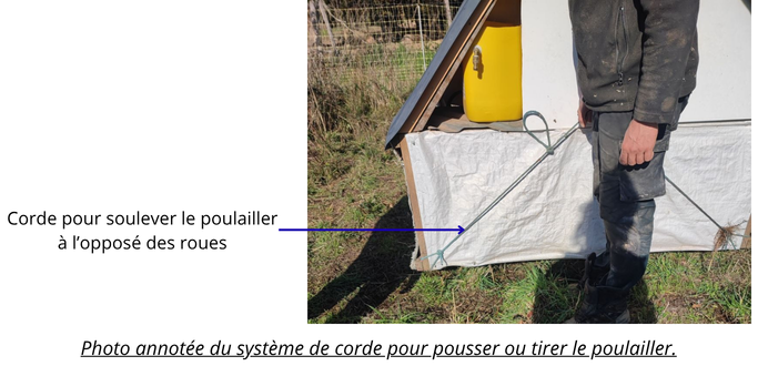 Volailles(8).png