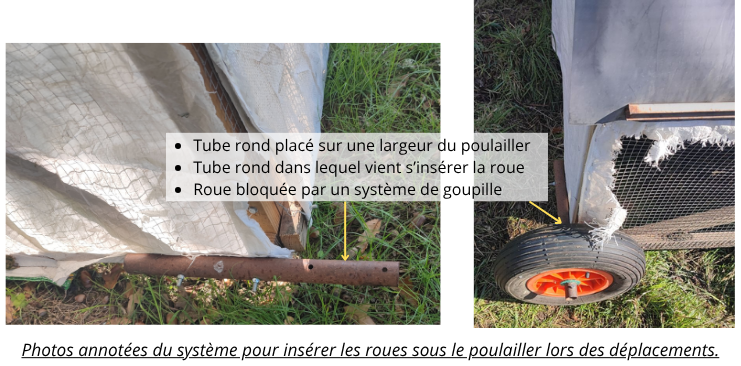 Volailles(7).png