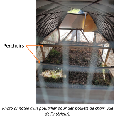 Volailles(6).png