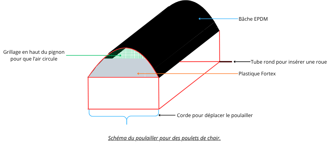 Volailles(4).png