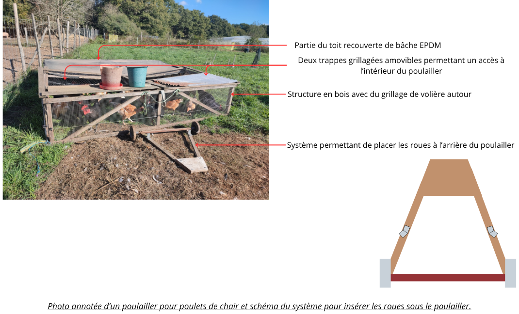 Volailles(10).png