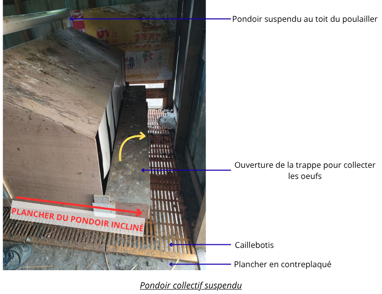 Volailles(13).png