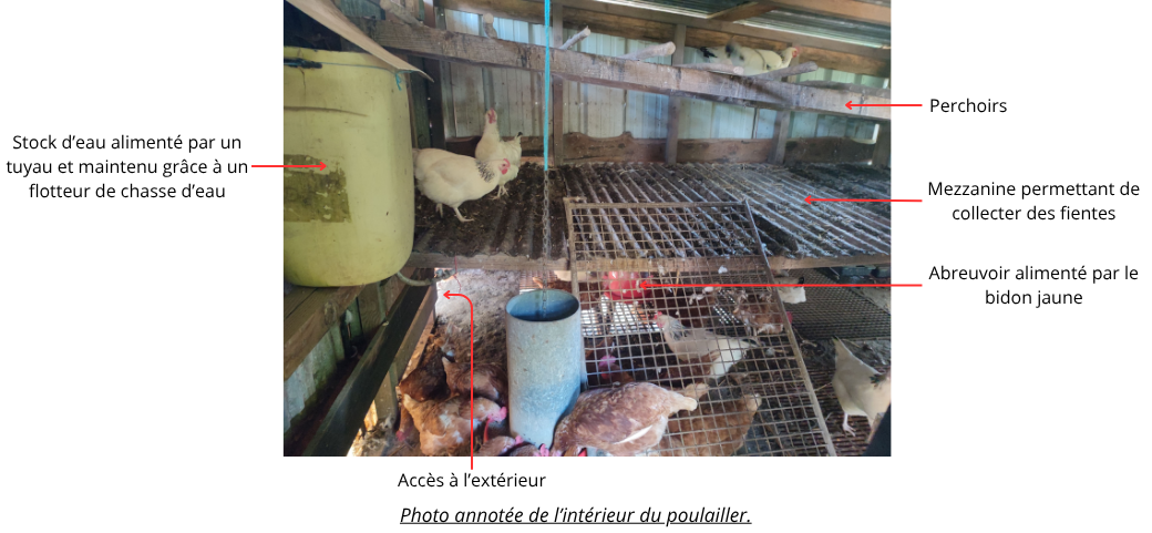 Volailles(12).png