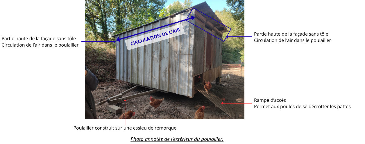 Volailles(11).png