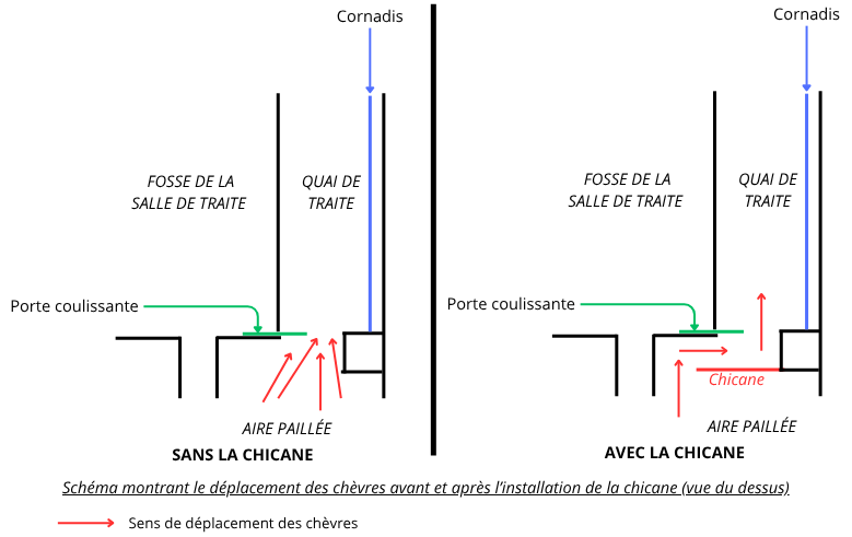 Chèvres(4).png