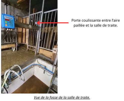 Chèvres.png